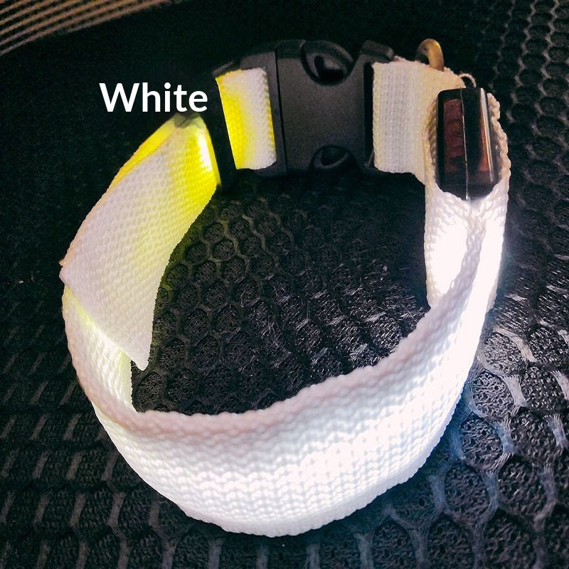 545033370-25