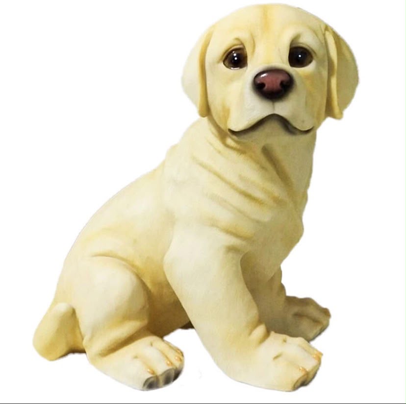 Puppy