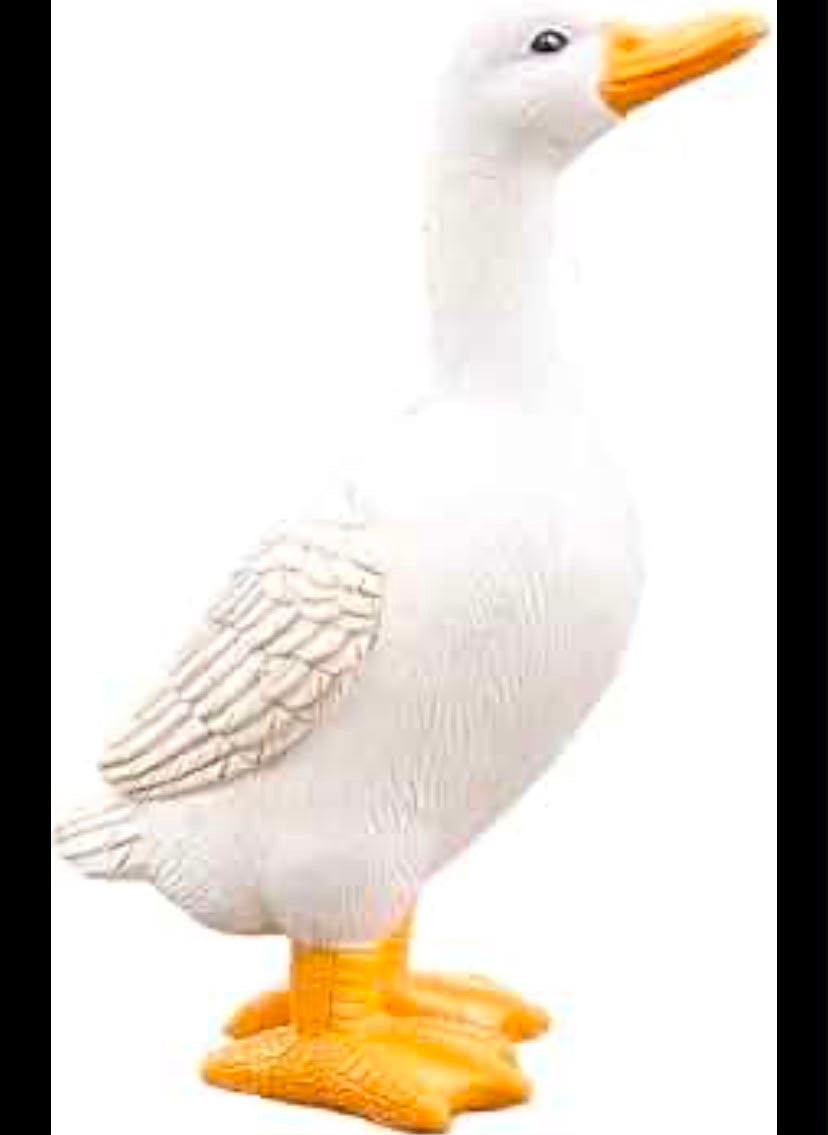 Goose