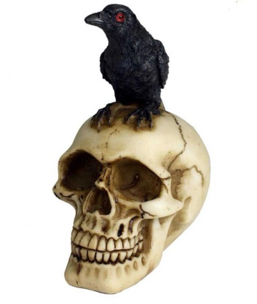 Black raven with red eyes perched on an aged ivory skull figurine